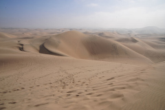 Oase Huacachina