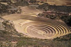 Moray