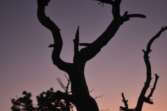 Bryce Canyon