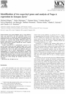Titelblatt Publikation Identifaication of two Nogo genes